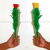 Blooming Blossom Repeat